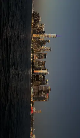 we could go back to new york #nyc #lanadelrey #fypp #paratii