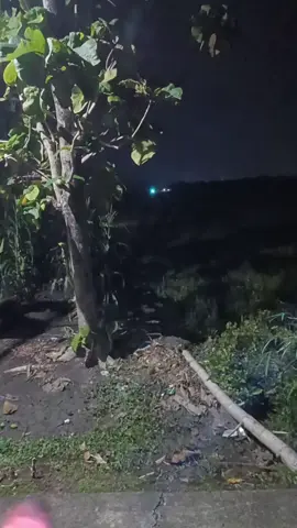 jarak jauh e ampuh tnn bos🔥 #hraudiopati #karnavaldemak #horegpati 