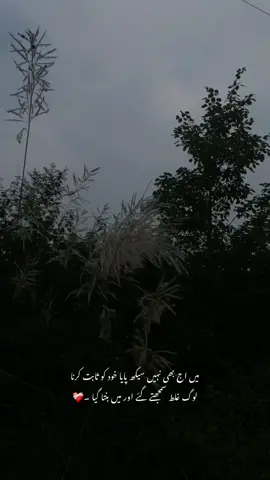 لوگ غلط سمجھتے گئے اور میں بنتا گیا ۔❤️‍🩹🦢🤌🏻