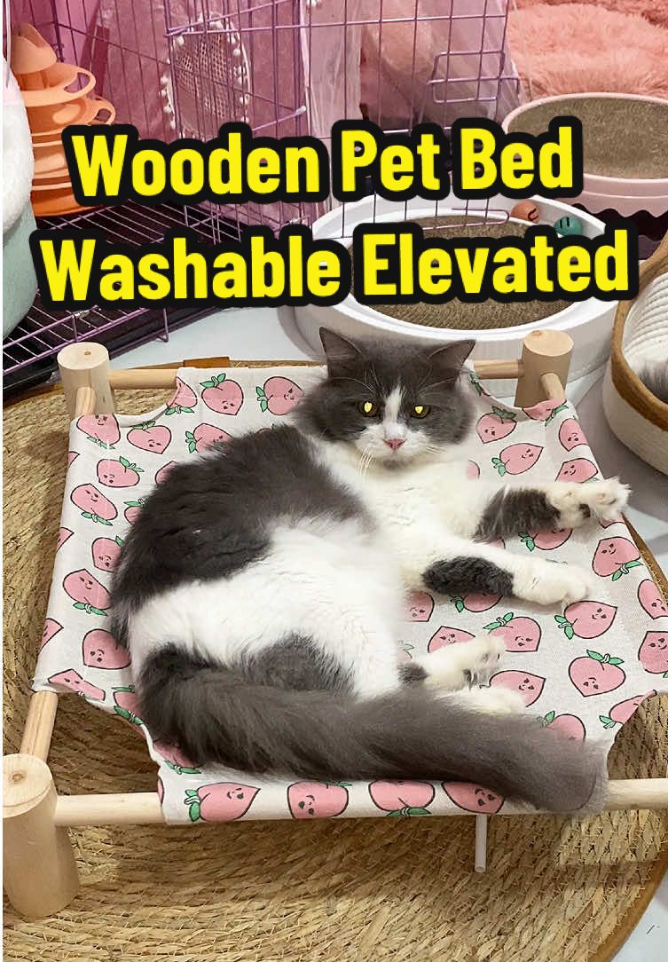 His favorite spot 💖 #cathammock #cathammockbed #cats #catsoftiktok #catbed 