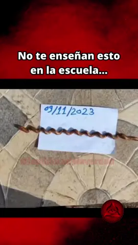 🤯 El libro “Despierta tus Poderes Mentales” me ha volado la cabeza, ¿ya lo has leído? Escríbenos ahora al email de nuestro perfil para adquirirlo 👈 Disponible en formato físico en Amazon 📘