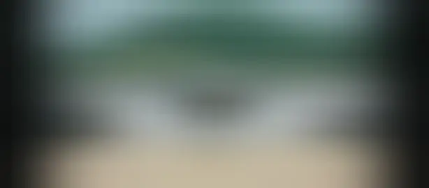 Bông hoa trên tay...