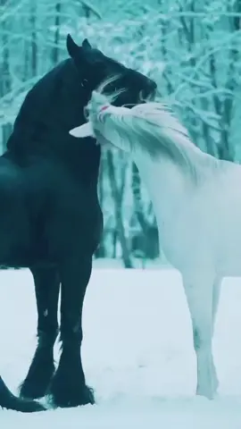 لا يدوم الود إلا مع الطيب  #اقتباسات  #خواطر  #ستوريات  #عبارات 