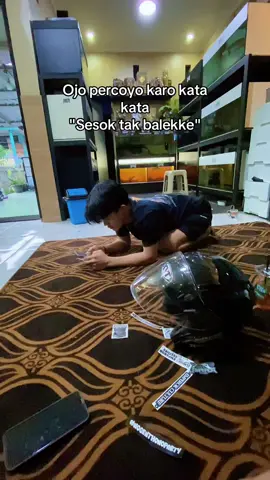 Sidone balekke kpn ki#fyp #yfpシ #channamaru #channaindonesia #channaauranti 