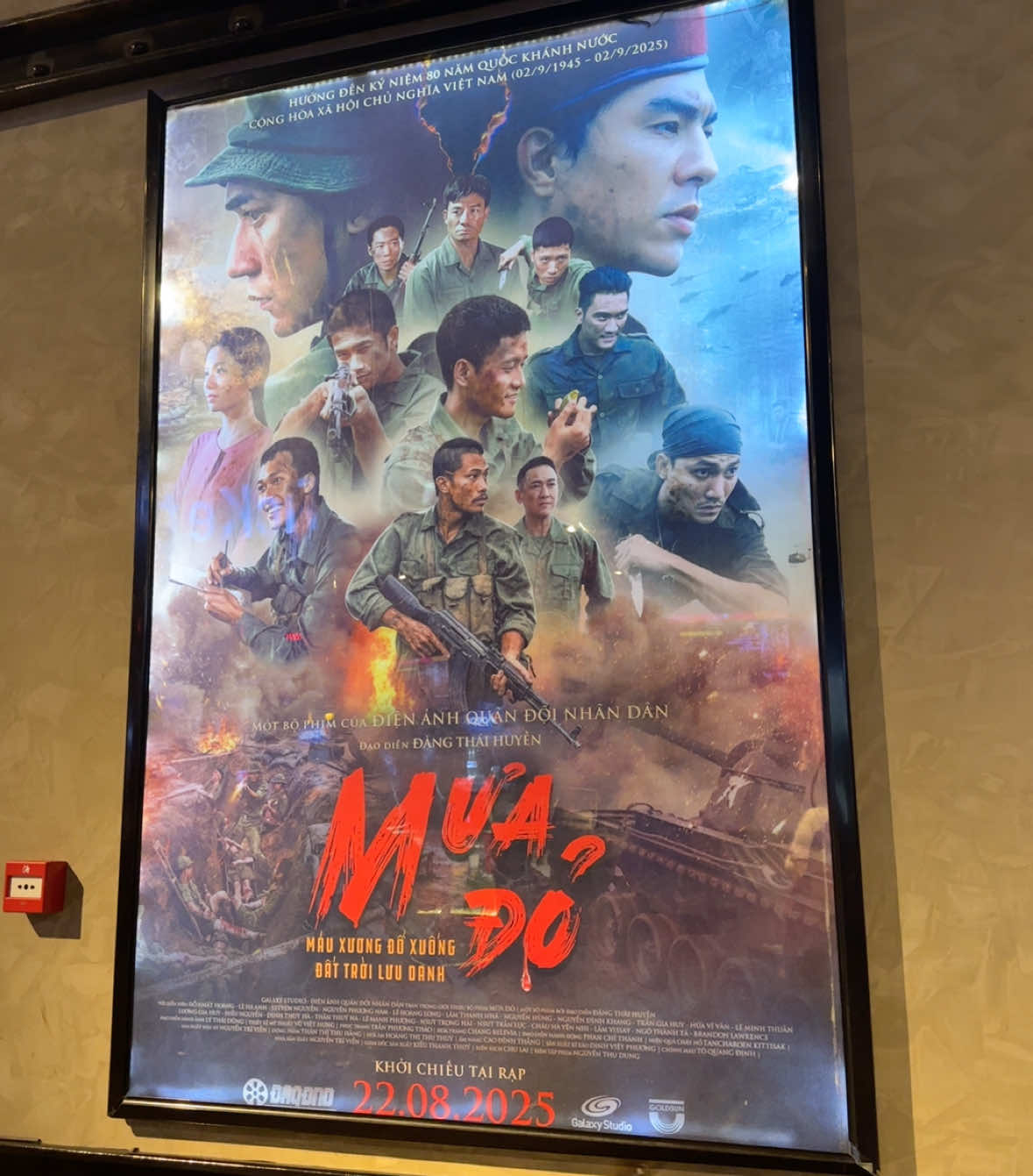 Cảm động quá trời các mom ơi. Nhạc kết quá hay 🇻🇳#muado #thanhcoquangtri81ngaydem #noidaugiuahoabinh 