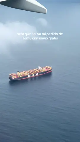 #humor #temuhaul #pedidotemu #embarque 