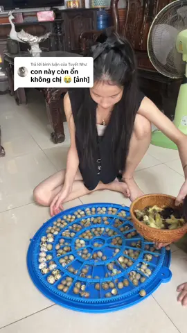 Trả lời @Tuyết Như nó vẫn ổn nha. Tới giờ vẫn ăn uống bt nhé