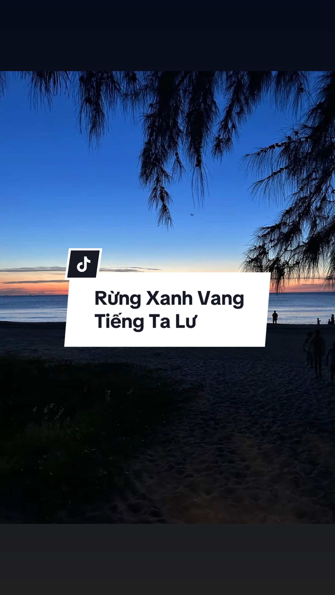 #CapCut Đàn theo ta đi đánh Mỹ đêm ngày… | RỪNG XANH VANG TIẾNG TA LƯ REMIX #xhtiktok #maucapcut #mcuongcapcut #nhachaymoingay 