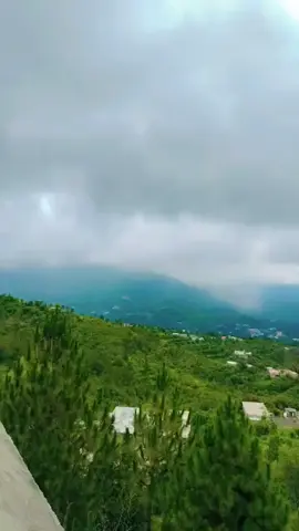 #sajadahmad @⚜️☞ó ͜つò☞ 𝓜𝓚—🍁 @💫💥𝙍𝙖𝙯𝙖 𝙐𝙡𝙡𝙖𝙃💥💫 @💫💥SyEd💥💫 