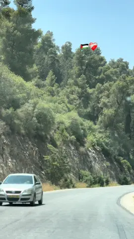 #ترقوميا_الخليل🇵🇸 