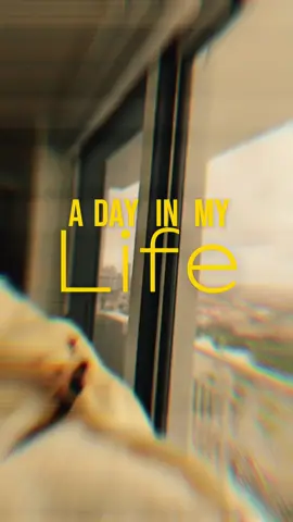 A day in a life of a Cabin Crew Trainee with @PTC Aviation Training Center  #flightattendanttrainee #ptcaviationtrainingcenter  #aviation #dayinmylife 