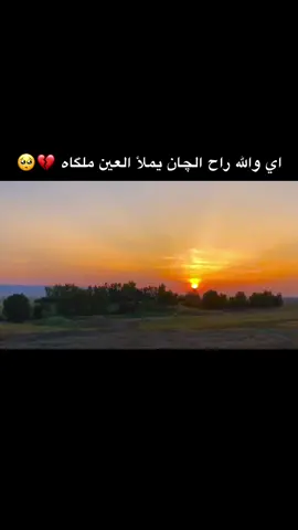 #عتابه_حزينه #اسمع_الضيم🥺💔 #موالات_حزينة_عراقية💔 #ضيم_مجروح_مكسور_الخاطر #يدمع_العين_كافي_تهل_بلغروب 