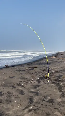 Joran Pasiran Seahawk Wind Surf Type R 420 #joranpancing #seahawk 