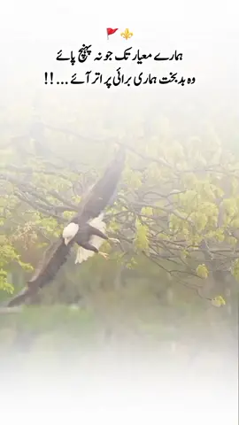 ہمارے معیار تک جو نہ پہنچ پائے وہ بدبخت ہماری برائی پر اتر آئے ... !! #foryoupageofficiall #foryoupageofficiall #viralvideo #viralvideo #foryoupageofficiall 