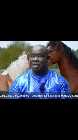 Si un Marabout peut faire sortir 50.000f dans multiplication d'argent il va jamais travailler pour quelqu'un... 😂😂😂 #mamoulelenta #😂 