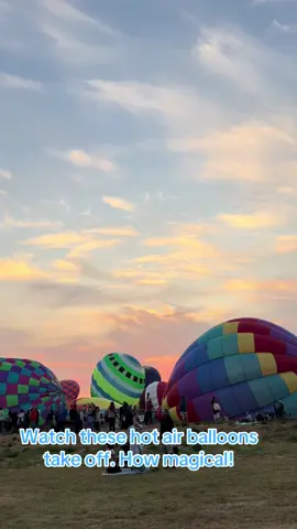 2025 art and air festival balloons launch 8/23/25