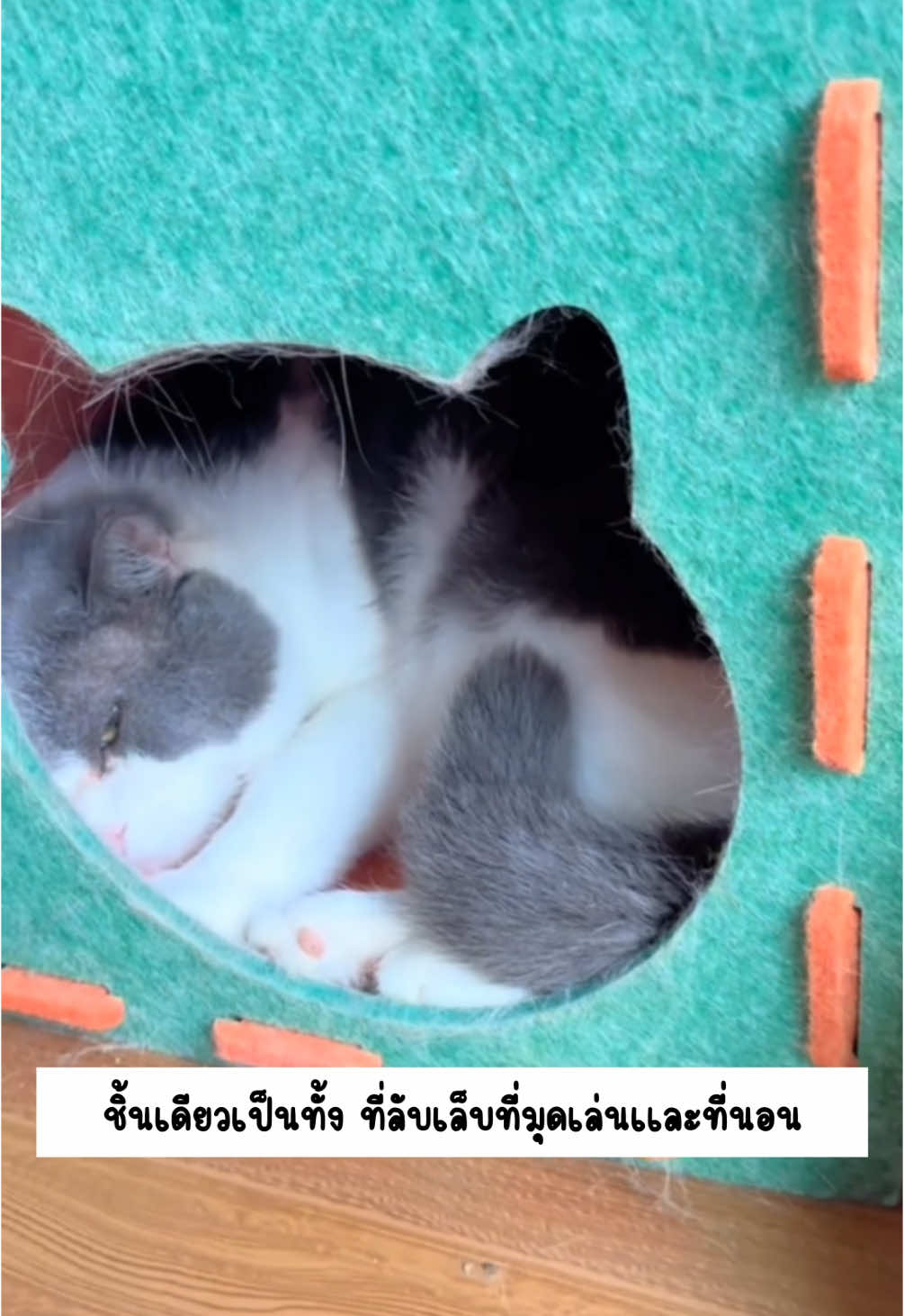#อุโมงค์แมว #อุโมงค์นอนแมว #ที่ลับเล็บแมว #ที่นอนเเมว #อุปกรณ์สัตว์เลี้ยง 