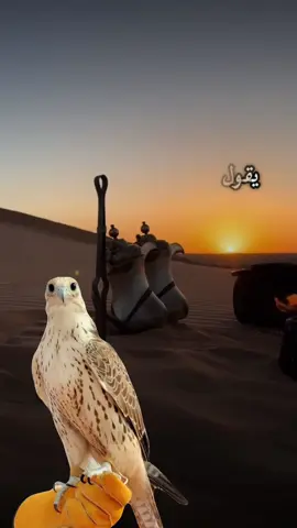 #أكسبلور_شعر_حكم_خواطر 