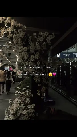 #ฟีดดดシ #ยืมลงสตอรี่ได้ #เอาขึ้นหน้าฟีดที #แท็กคนที่คุณอยากบอก 