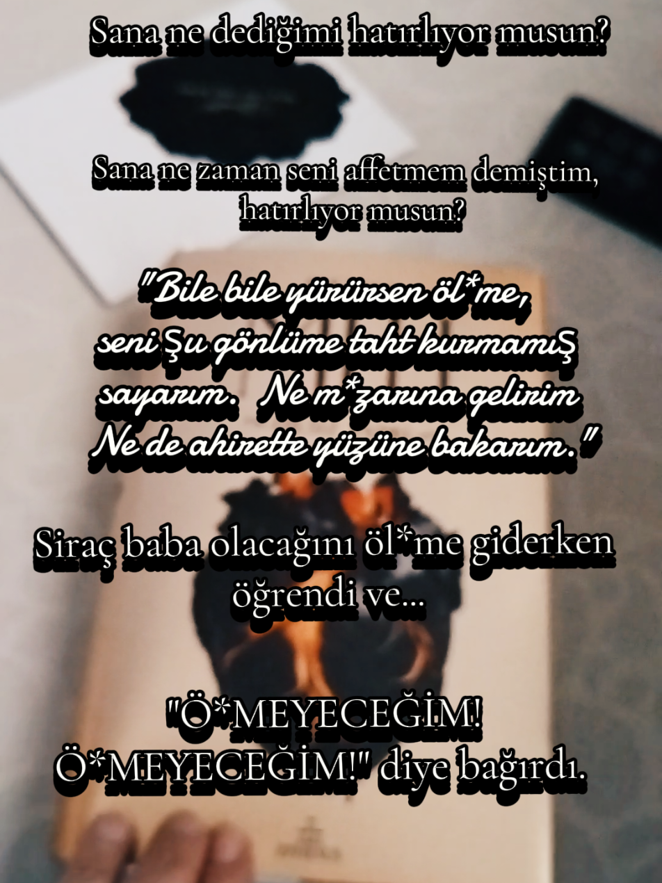 MIH 2... DİLSİZ YANKI.  3. Kitabın acilen çıkması gerekiyor. #mih #mıh #siraçvuslat #elifvuslat #mehsa
