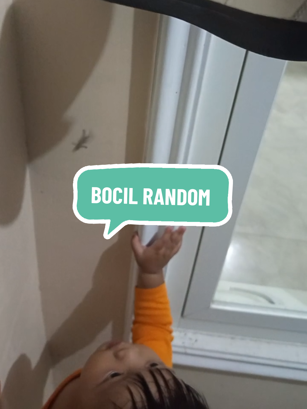 Padahal emaknya geli,pegang aja  pake sepatu 🙄 Bocil malah pake tangan kosong 🥴 #randomvideo #anakrandom #bocilrandom #videoviral #cicakcicakdidinding 