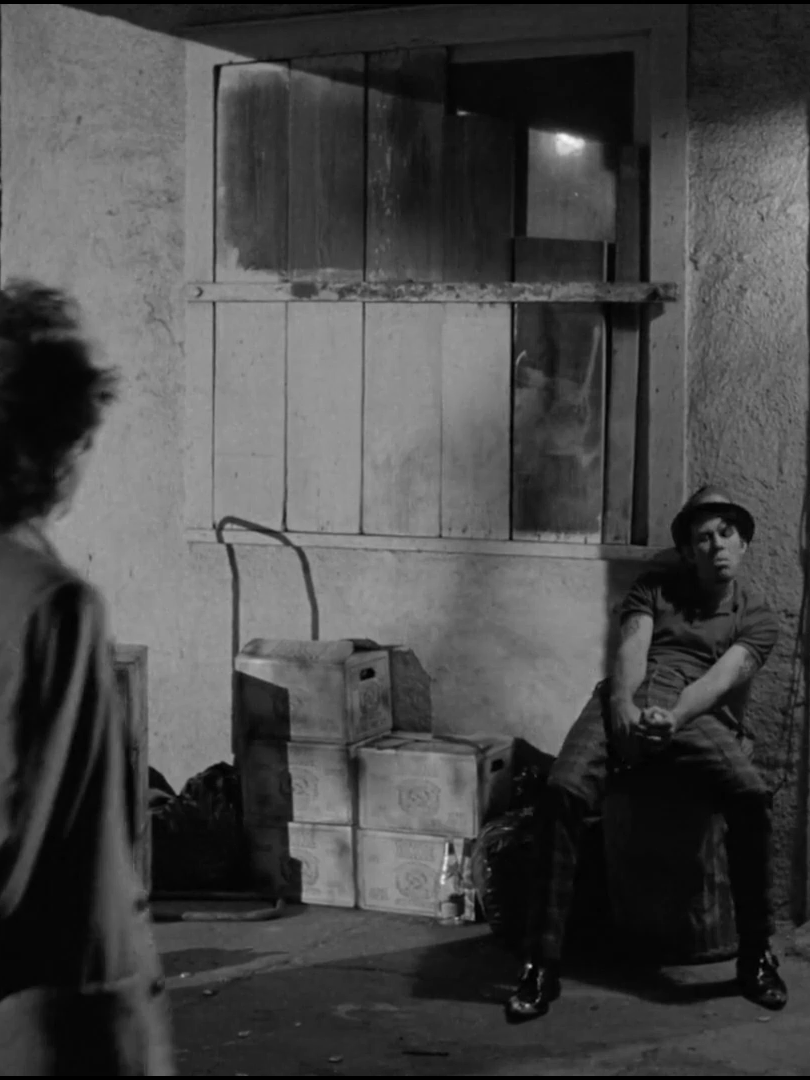 #movie #movietok #cinema #cinematok #jimjarmusch #filmtok #tomwaits #edit #fyp