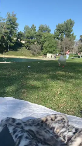 We just wanted to vibe 😞 #jet2holidays #jet2 