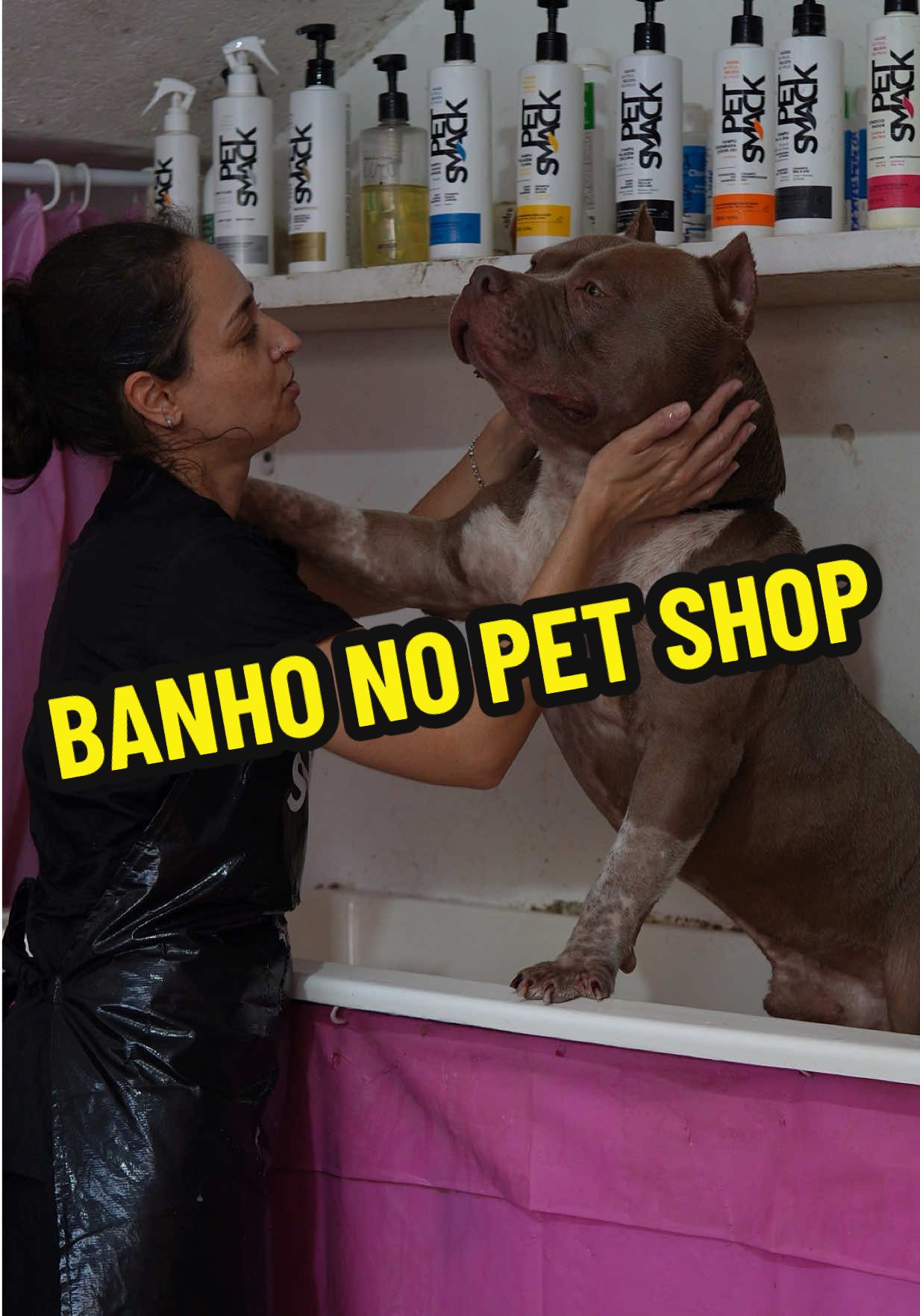 Fera no banho kkk #pitmonster #americanbully #pitbull 