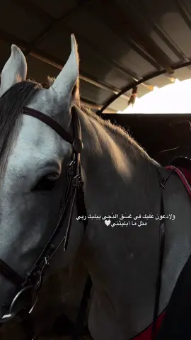 يبليك ربي مثل ما أبليتني 💔🥀 #عبدالرحمن_محمد #ولادعونا_عليك_في_غسق_الدجى  #fyp #foryou #slowmo 