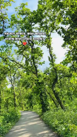 সব মনে থাকবে 🙂💔#capcutvelocity।।।। 