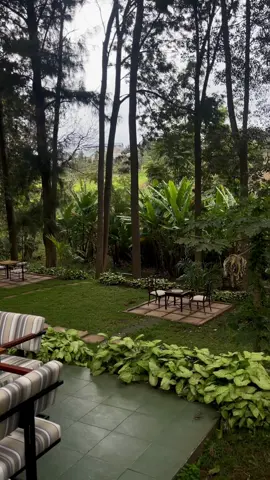 🍀💗#naturelover #alhamdulillah #somalitiktok #kenyantiktok🇰🇪 #nairobirestaurants 