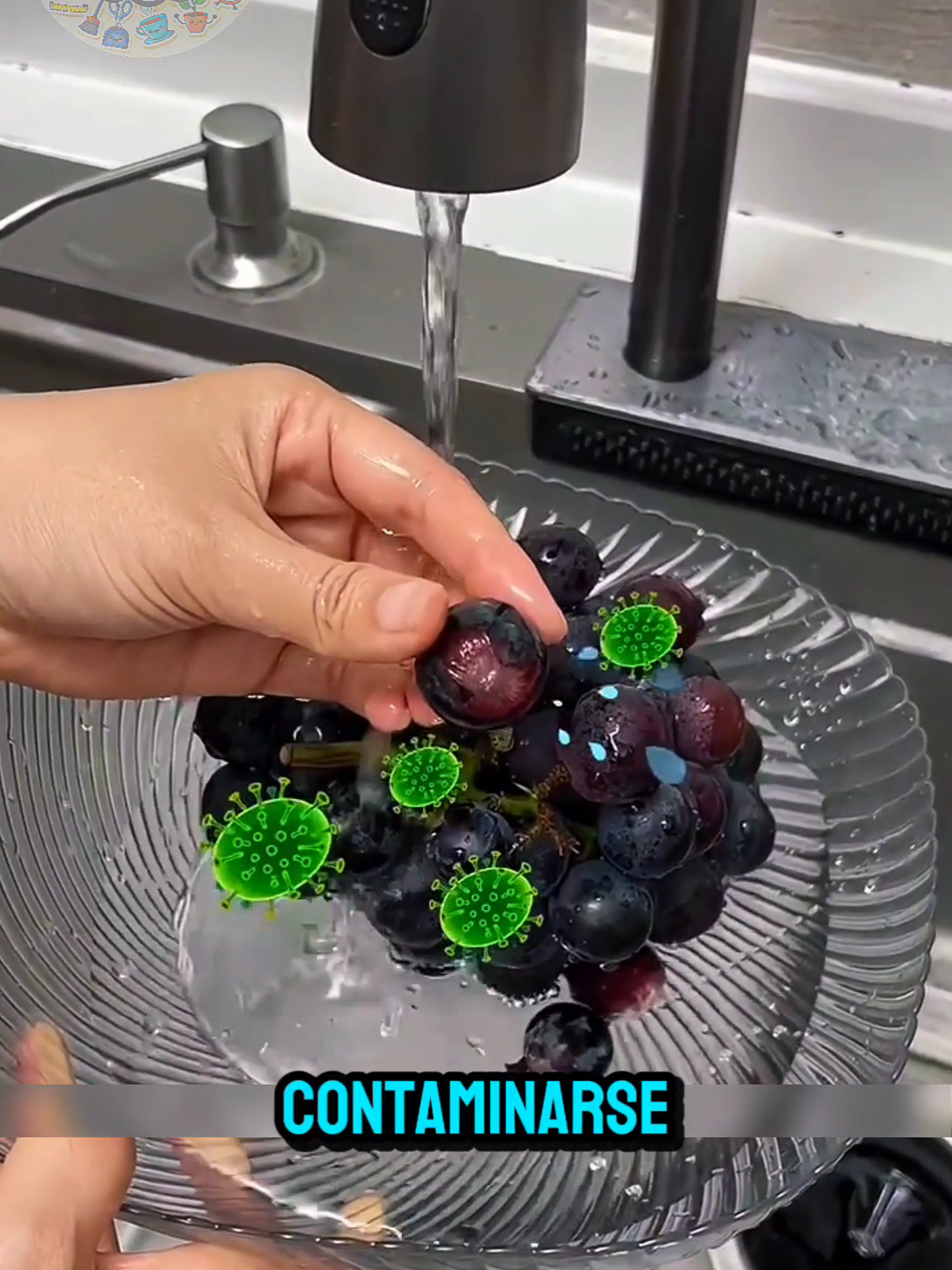 forma correcta de limpiar las frutas #Viral #videoviral #fyp 
