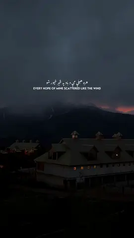 ❤️‍🩹 #PashtoHorizon 