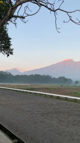 the best view#salatiga24jam #salatigatiktok #salatigahits #salatigaviral #pacuankudasalatiga #salatigahitz #kabsemarang #merbabumountain 