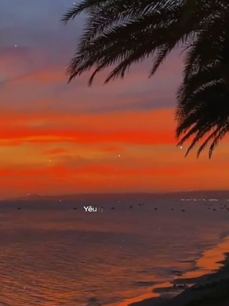 Ta say không phải vì men #tramkygui0525 #tramnhacbun #tramsuy25 #nhacnaysuy #nhachaymoingay❤️ 