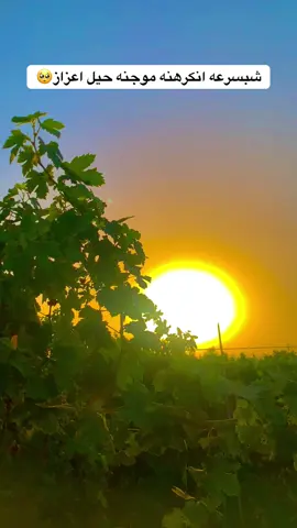 #شبسرعه انكرهنه موجنه حيل اعزاز فةَ تصويري_احترافي_الاجواء👌🏻🕊😴 #تصميم_فيديوهات🎶🎤🎬 #يثرب_بلد_سامراء_تكريت_صلاح_الدين #المتابعين #غروبالشمس 