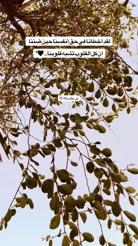 لقد اخطأنا ..🖤 #لايك_متابعه_اكسبلور #تصويري_احترافي_الاجواء👌🏻🕊😴 #عباراتكم_الفخمه📿📌 #عباراتكم_اصمم_عليهآ #الحله_بابل_العراق 