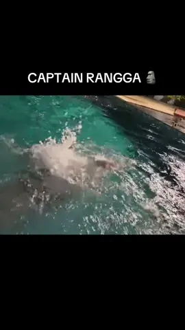 RANGGA TO THE RESCUE  nonton di yt : @Jessica Effendy  #simiskindisekolahsultan #fypindonesia #shortmovie #dramaindonesia #seriesviral #dramakomedi