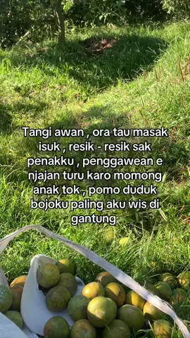Ngne kadang yo seh di sambi montro” ng bojoku 🤣🤌 #fy #4you #4u #fyppppppppppppppppppppppp 