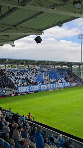 🩵🤍 23.08.2025 #FCK #fußball #chemnitzerfc #fußballclubkarlmarxstadt #1966 