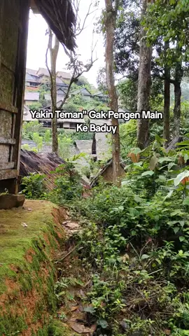 Suasana Di Siang Hari  #baduyluar #banten #viral #fypシ゚ 