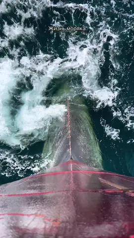 Друг, представь: ещё каких-то пару веков назад все суда ходили только под парусами или на вёслах. И никто даже не думал, что можно крутить винт в воде и двигать целые корабли. Но именно так и началась новая эра судоходства. Первые эксперименты с винтами были ещё в XVI веке. Например, итальянец Леонардо да Винчи рисовал чертежи спиралевидных устройств, которые могли бы толкать лодку. Но до практики дело не дошло. Реальные шаги сделали только в XVIII веке. В 1775 году англичанин Дэвид Бушнелл построил маленькую подлодку «Черепаха» с ручным винтом — и это уже было близко к современному решению. Настоящий прорыв произошёл в XIX веке. В 1830-х сразу несколько инженеров в разных странах экспериментировали с винтовым движителем. Англичанин Фрэнсис Смит предлагал использовать винт в виде спирали, но оказалось, что эффективнее сделать короткий пропеллер. В это же время швед Джон Эрикссон разработал винт, который реально заработал. В 1839 году он установил его на корабль «Princeton» в США — и все поняли: будущее именно за винтами. Постепенно суда перестали использовать колёсные пароходы, потому что винт давал меньше вибрации, не мешал при шторме и был намного эффективнее. Уже к концу XIX века почти весь торговый и военный флот перешёл на винтовой привод. Теперь коротко о том, какие бывают винты и как они работают. 🔹 Фиксированного шага (FPP) — самые простые. Лопасти жёстко закреплены, угол атаки не меняется. Дёшево и надёжно, но не всегда эффективно. 🔹 Регулируемого шага (CPP) — здесь угол лопастей можно менять прямо во время работы. Судно может идти вперёд или назад без реверса двигателя, а экономичность выше. Такие винты часто стоят на больших оффшорных судах, буксирах, ледоколах. 🔹 Есть ещё винты в насадках (Kort nozzle), винты азимутальные — которые вращаются на 360°, заменяя руль. Их используют на современных SOV и других судах с динамическим позиционированием. Но винт — это не просто «крутилка». У него есть куча инженерных проблем. Одна из них — кавитация. Когда винт быстро вращается, за лопастями давление падает, и в воде образуются пузырьки. Они лопаются и бьют по металлу, разрушая его. Это не только портит винт, но и снижает КПД, а ещё создаёт шум — что плохо для подводных лодок. А теперь про КПД. В среднем судовой винт имеет эффективность около 65–70%, у идеальных моделей — до 80%. Для сравнения: у колёсных пароходов было не больше 30–40%. То есть винт вдвое эффективнее. Именно поэтому корабли смогли расти в размерах, и сегодня гиганты длиной 400 метров ходят всего на одном винте диаметром до 10 метров. Интересный факт: самый большой винт в мире стоит на контейнеровозе класса «Emma Maersk». Его диаметр 9,6 метра, вес около 130 тонн, и он способен развивать мощность свыше 80 тысяч лошадиных сил. Сейчас инженеры делают винты из специальных бронзовых сплавов или нержавеющей стали, а на военных кораблях применяют винты сложной формы, чтобы снижать шум. В оффшоре часто используют азимутальные движители и даже электрические подруливающие винты, которые дают судну невероятную манёвренность. Так что, друг, когда смотришь на крутящийся винт под кормой — знай: за этой штукой стоит несколько веков инженерии, экспериментов и ошибок. И именно он сделал возможным современное мореплавание.