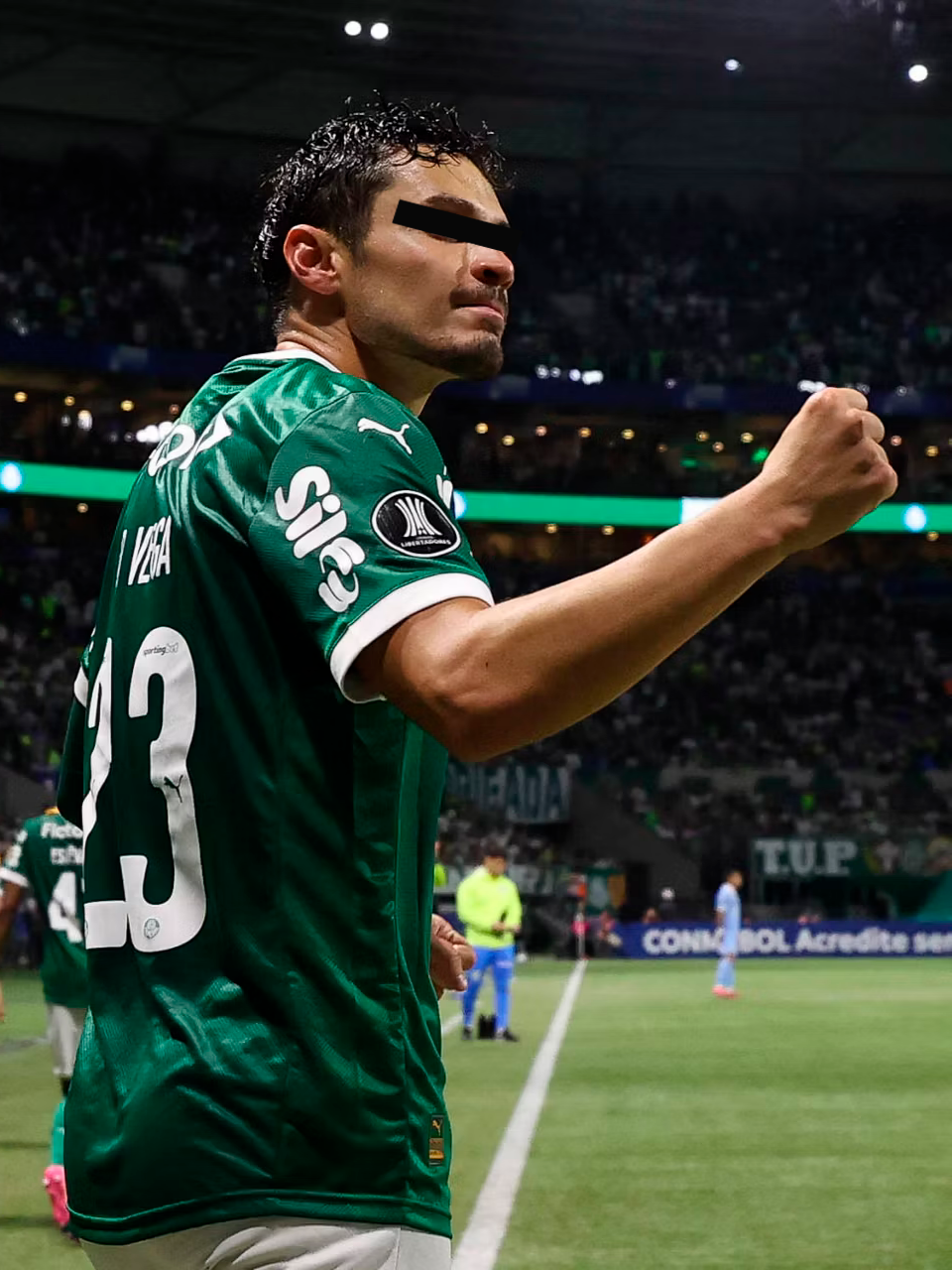 naquela mesa - nelson gonçalves #raphaelveiga #palmeiras #fyp #skills #hopecore #motivation #futebol