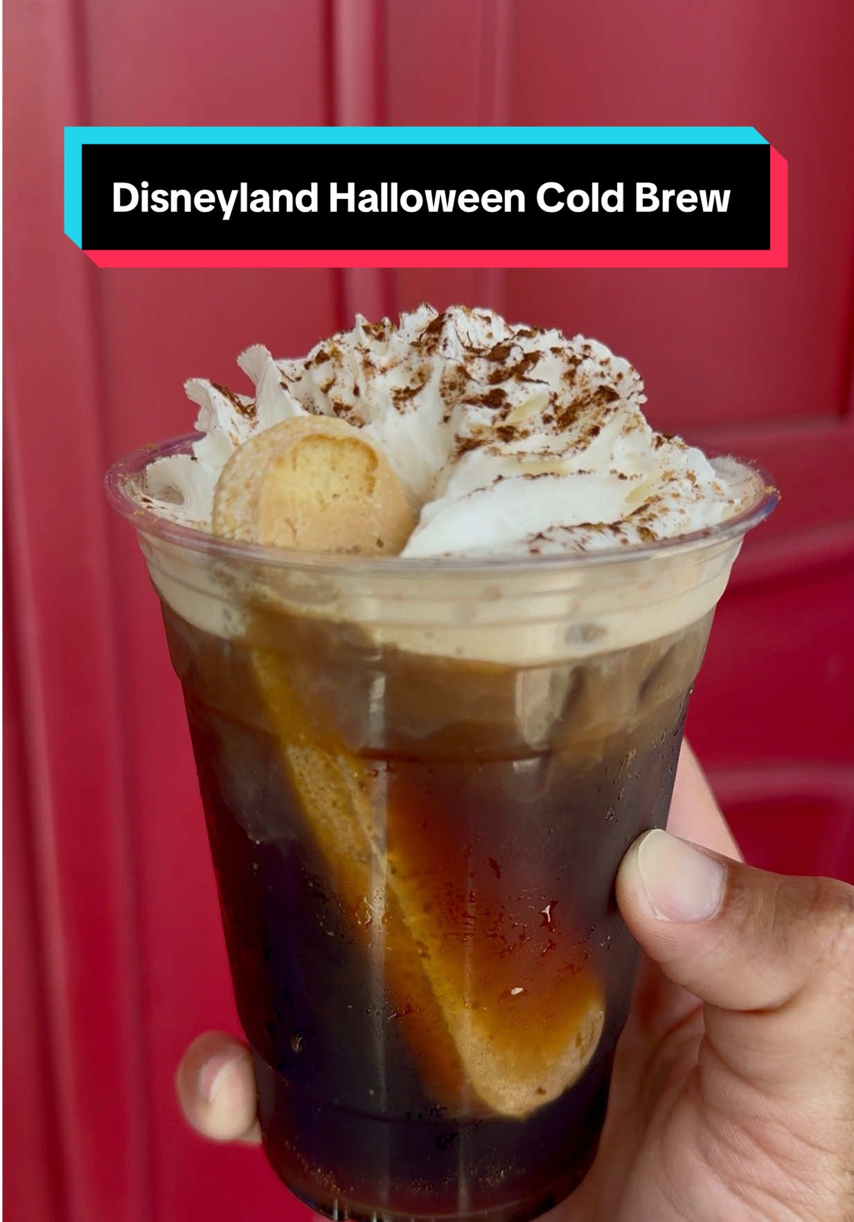 Disneyland Halloween snacks you’ve gotta try include this delicious Pumpkin Tiramisu Cold Brew in Mickey’s Toontown! This treat features Joffrey’s French Roast Cold Brew mixed with pumpkin and tiramisu syrups, then finished with whipped cream, chocolate and pumpkin powders, and a ladyfinger on top. It’s similar to the Tiramisu Cold Brew offered before, but I thought this version was even better. You can grab it at Café Daisy for 7.29, available through November 13, 2025