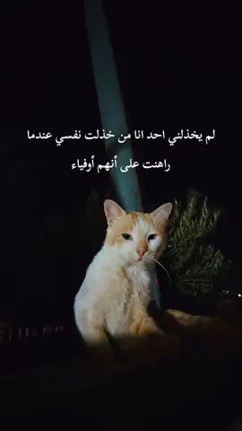 #اقتباس #ستوريات #🖤🥀 