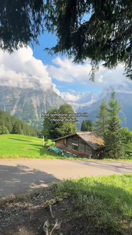 Dont waste your life. Go outside and explore #nature #vinland #fyp #swiss #getoutside 