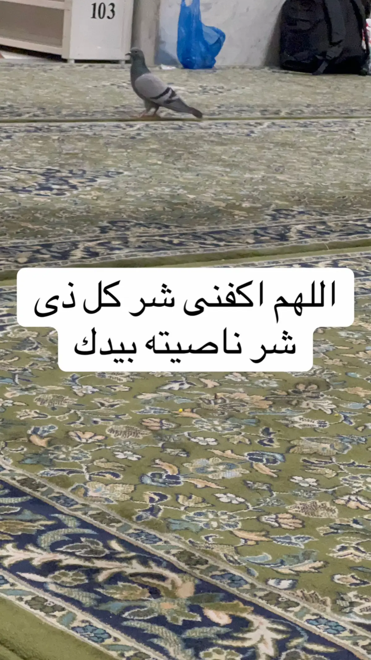 #هو_الله #doaamagdyat #المسجد_النبوي 