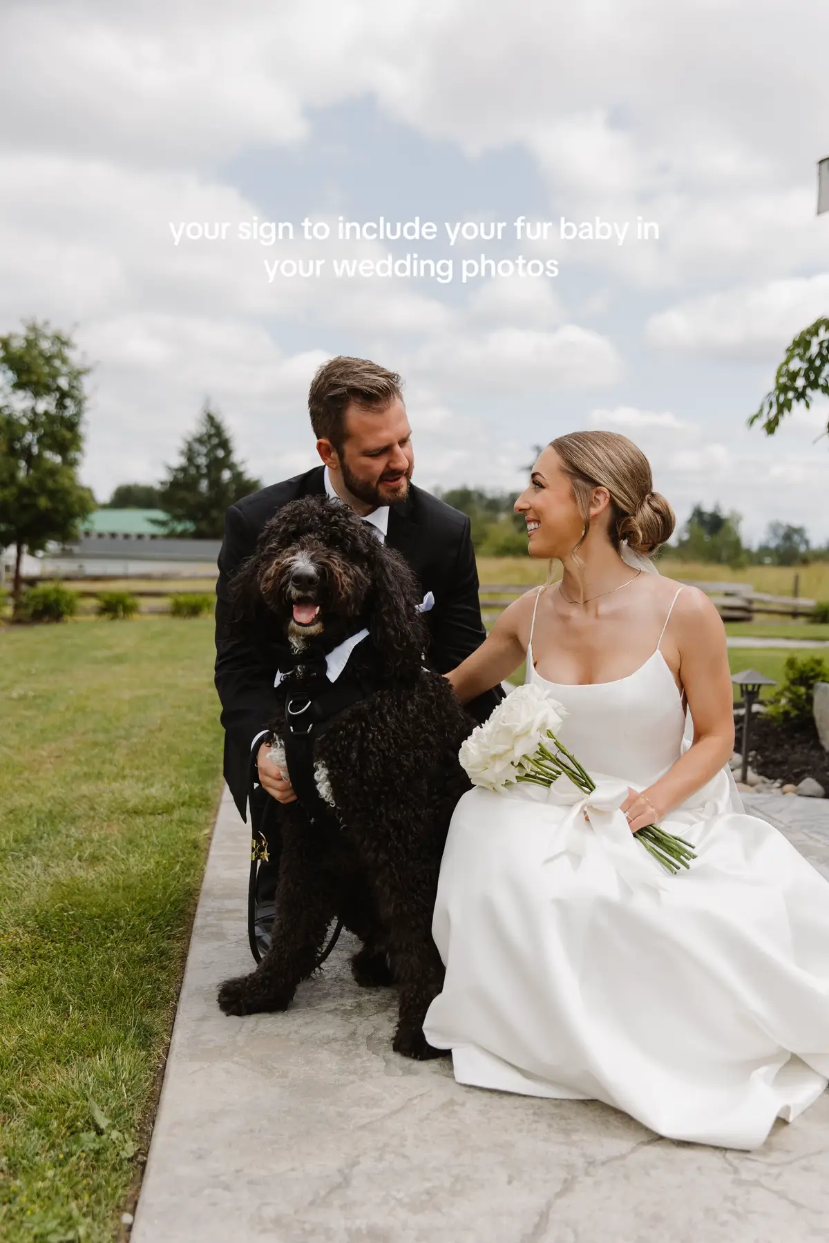 #dogsoftiktok #dogtok #weddingtok #bridetok #weddingphoto 