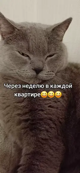 Кто морально готов к школе? #школа #1сентября #дети #мама #я 