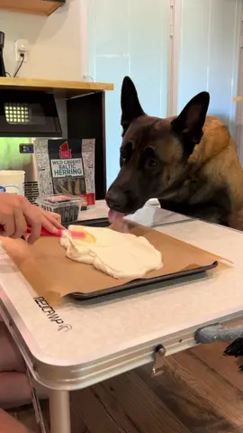 Dog Bark Treat #dogmom #doglover #dogtreat #belgianmalinois #doghelp 